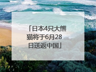 日本4只大熊猫将于6月28日送返中国