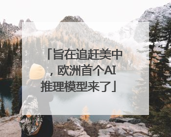 旨在追赶美中，欧洲首个AI推理模型来了