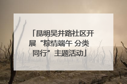 昆明吴井路社区开展“粽情端午 分类同行”主题活动