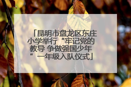 昆明市盘龙区东庄小学举行“牢记党的教导 争做强国少年”一年级入队仪式