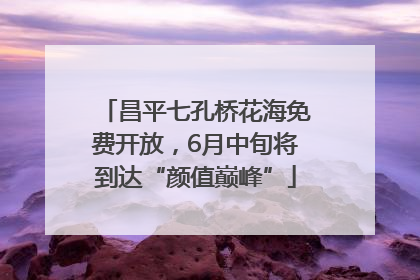 昌平七孔桥花海免费开放，6月中旬将到达“颜值巅峰”