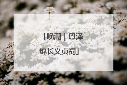 晚潮｜恩泽绵长义贞祠