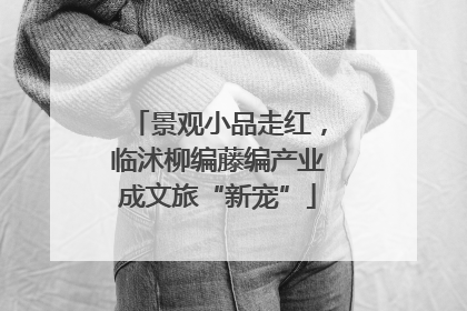 景观小品走红，临沭柳编藤编产业成文旅“新宠”