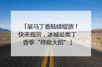 暴马丁香陆续绽放！快来观赏，冰城最美丁香季“终极大招”