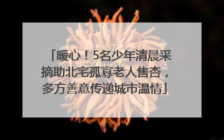 暖心！5名少年清晨采摘助北宅孤寡老人售杏，多方善意传递城市温情