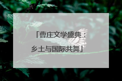 曹庄文学盛典：乡土与国际共舞