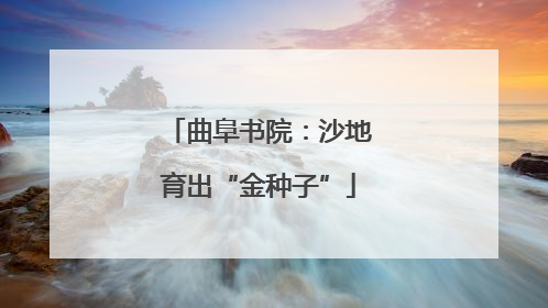 曲阜书院：沙地育出“金种子”