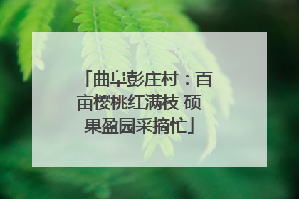 曲阜彭庄村：百亩樱桃红满枝 硕果盈园采摘忙