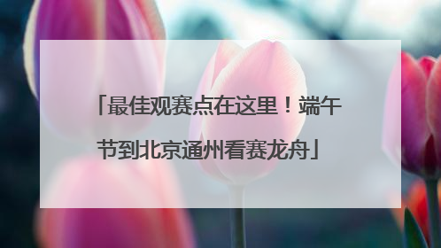 最佳观赛点在这里！端午节到北京通州看赛龙舟