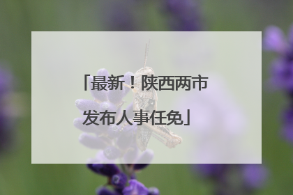 最新！陕西两市发布人事任免