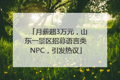 月薪超3万元，山东一景区招募语言类NPC，引发热议