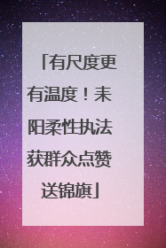 有尺度更有温度！耒阳柔性执法获群众点赞送锦旗