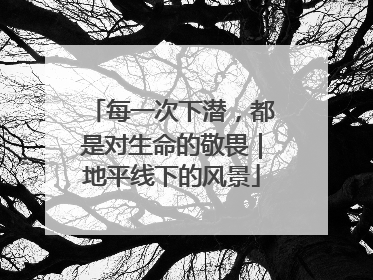 每一次下潜，都是对生命的敬畏｜地平线下的风景
