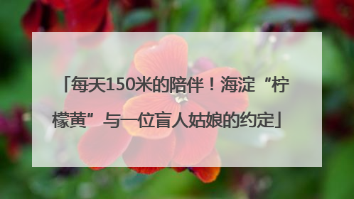 每天150米的陪伴！海淀“柠檬黄”与一位盲人姑娘的约定