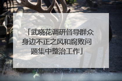 武晓花调研督导群众身边不正之风和腐败问题集中整治工作