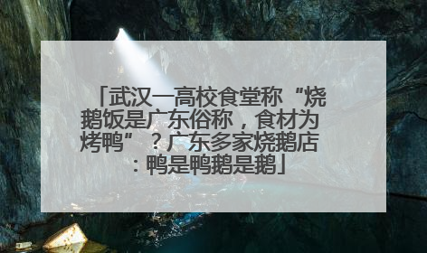 武汉一高校食堂称“烧鹅饭是广东俗称，食材为烤鸭”？广东多家烧鹅店：鸭是鸭鹅是鹅