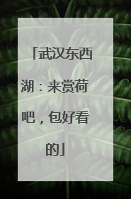 武汉东西湖：来赏荷吧，包好看的