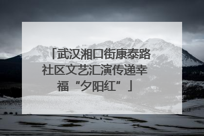 武汉湘口街康泰路社区文艺汇演传递幸福“夕阳红”