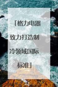 格力电器致力打造制冷领域国际标准