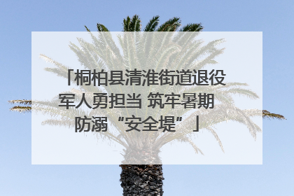 桐柏县清淮街道退役军人勇担当 筑牢暑期防溺“安全堤”