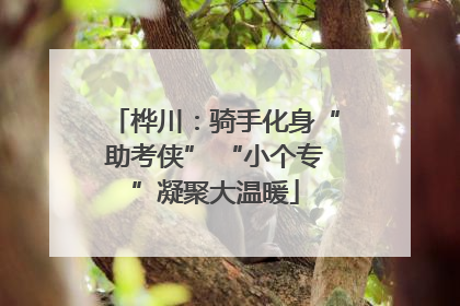 桦川：骑手化身“助考侠” “小个专”凝聚大温暖