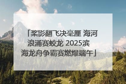桨影翻飞决毫厘 海河浪涌赛蛟龙 2025滨海龙舟争霸赛燃爆端午