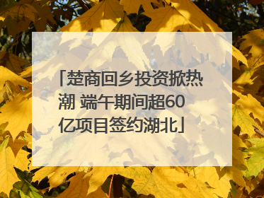 楚商回乡投资掀热潮 端午期间超60亿项目签约湖北