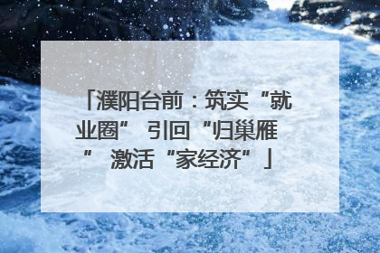 濮阳台前：筑实“就业圈” 引回“归巢雁” 激活“家经济”