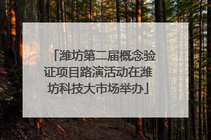 潍坊第二届概念验证项目路演活动在潍坊科技大市场举办