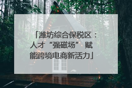 潍坊综合保税区：人才“强磁场” 赋能跨境电商新活力