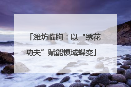 潍坊临朐：以“绣花功夫”赋能镇域蝶变
