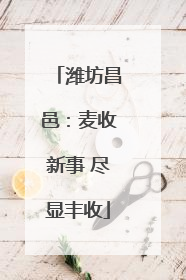 潍坊昌邑：麦收新事 尽显丰收