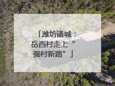 潍坊诸城：岳西村走上“强村新路”
