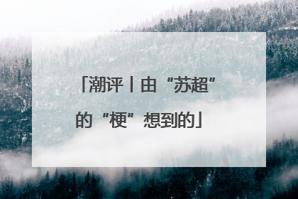 潮评丨由“苏超”的“梗”想到的