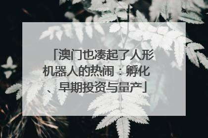澳门也凑起了人形机器人的热闹：孵化、早期投资与量产