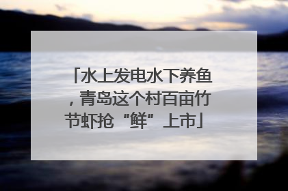 水上发电水下养鱼，青岛这个村百亩竹节虾抢“鲜”上市