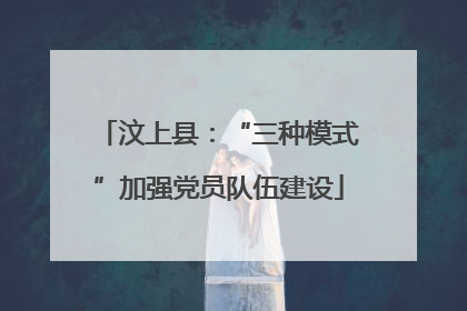 汶上县：“三种模式”加强党员队伍建设