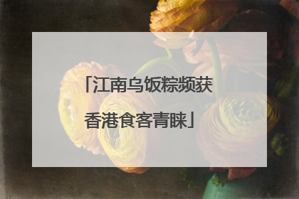 江南乌饭粽频获香港食客青睐