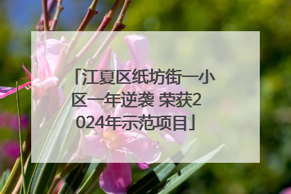 江夏区纸坊街一小区一年逆袭 荣获2024年示范项目