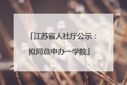 江苏省人社厅公示：拟同意申办一学院