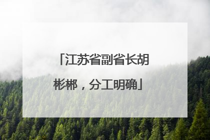 江苏省副省长胡彬郴，分工明确