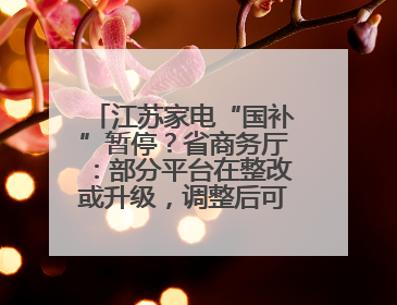 江苏家电“国补”暂停？省商务厅：部分平台在整改或升级，调整后可正常使用