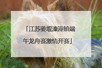 江苏姜堰溱潼镇端午龙舟赛激情开赛