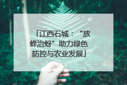 江西石城：“放蜂治蚜”助力绿色防控与农业发展