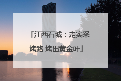 江西石城：走实采烤路 烤出黄金叶