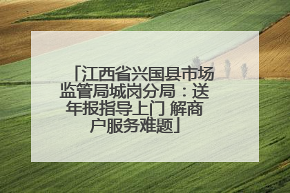 江西省兴国县市场监管局城岗分局：送年报指导上门 解商户服务难题