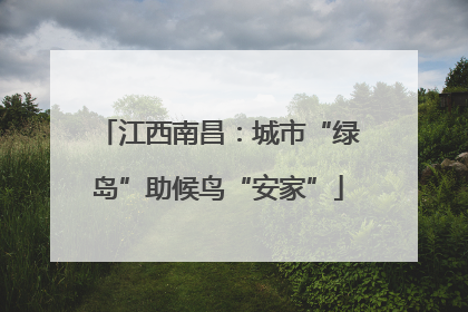 江西南昌：城市“绿岛”助候鸟“安家”