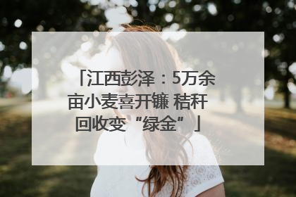 江西彭泽：5万余亩小麦喜开镰 秸秆回收变“绿金”