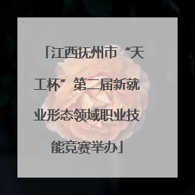 江西抚州市“天工杯”第二届新就业形态领域职业技能竞赛举办