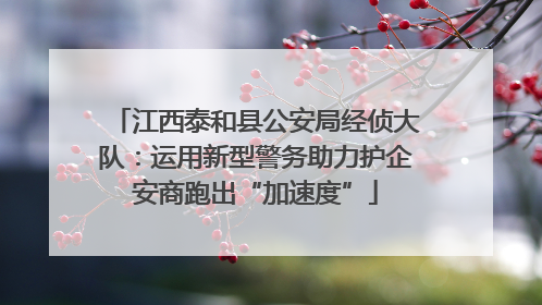 江西泰和县公安局经侦大队：运用新型警务助力护企安商跑出“加速度”